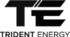 Logo of a company featuring a stylized design with a modern aesthetic, suitable for branding and marketing purposes.